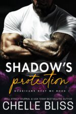 Shadow's Protection Heat Mc Book