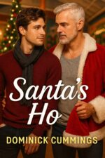 Santa's Ho - a Mm Age-gap Holiday Romance With a Touch of Heat Heart...mm Romance to Make You Swoon Book