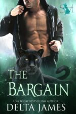 The Bargain: Paranormal Romance