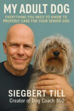 My Adult Dog: Everything You Need to Know to Properly Care for Your Senior Dog