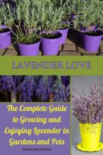 Lavender Love: the Complete Guide to Growing and Enjoying Lavender in Gardens and Pots