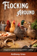 Flocking Around: a Realistic Guide to Raising Poultry Without the Surprises