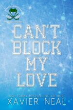 Can't Block My Love Grumpy Sunshine Forced Proximity Fake Dating Hockey Hockey Gods Series Book
