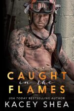 Caught in the Flames Series Book