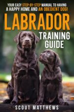 Labrador Training Guide: Your Easy Step-by-step Manual to Having a Happy Home and an Obedient Dog!