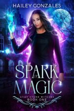 Spark of Magic Stone Witches Book
