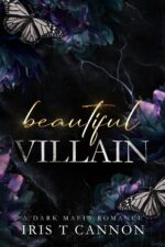Beautiful Villain: a Dark Mafia Romance