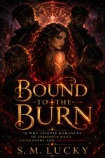 Bound to the Burn: 10 Why-choose Romances of Forbidden Magic, Fated Bonds, and Dangerous Men Why Choose