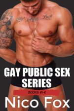 Gay Public Sex Series: Books 1-8