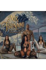 Mr Tsunami