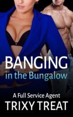 Banging in the Bungalow: a First Time Cheating Wife Full Service Agent Book