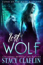 Lost Wolf of the Moon Book