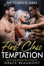 First Class Temptation: the Complete Series: Bi-awakening Mmf Erotic Romance Hers, And