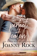 The Perfect Catch : a Small-town Second-chance Romance Playmakers Book