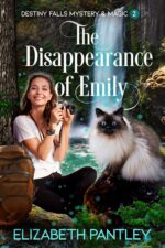 The Disappearance of Emily: Destiny Falls Mystery & Magic Series #2
