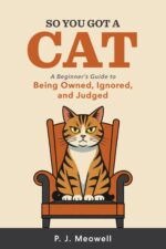 So You Got a Cat: a Beginner’s Guide to Being Owned, Ignored, and Judged