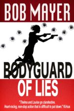 Bodyguard of Lies: the Cellar: Policing of the World of Covert Operations
