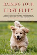 Raising Your First Puppy: an Easy-to-follow Puppy Training Book Providing Positive Dog Training Advice for Your New Puppy to Have the Best Dog ... the Best Dog First Puppy Guide