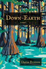 Down to Earth: a Novel