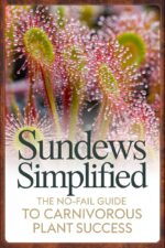 Sundews Simplified: the No-fail Guide to Carnivorous Plant Success Plant Success Series Book