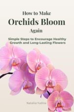 How to Make Orchids Bloom Again : Simple Steps to Encourage Healthy Growth and Long-lasting Flowers Care Series Book