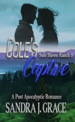 Cole's Captive: a Post-apocalyptic Christian Romance Haven Ranch Book