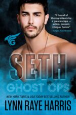 Seth: a Small Town, Enemies to Lovers, Military Protector Romance Ops Book