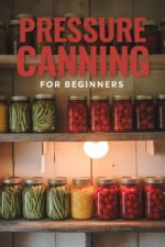 The Safe, Step-by-step Guide to Home Preservation: the Safe, Step-by-step Guide to Home Preservation