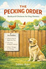 The Pecking Order: Backyard Chickens for Dog Owners