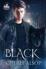 Black Silver Series Book