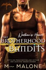 Nathan's Heart Brotherhood of Bandits Book