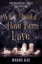 What Should Have Been Love Book