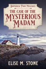 The Case of the Mysterious Madam Point Mysteries Book