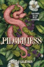 Pilgrimess of Tintar Book