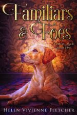 Familiars and Foes: a Contemporary Witchy Fiction Novella Magic Book