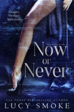 Now or Never Boys Book