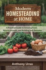 Modern Homesteading at Home: Practical Advice and Steps to Becoming More Self Sufficient