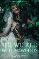 The Wicked Witch of the Woods: a Hansel and Gretel Retelling Fables Book