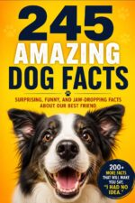 245 Amazing Dog Facts: the Ultimate Trivia Book for Dog Lovers — Surprising, Fun, and Fascinating Things You Never Knew About Dogs