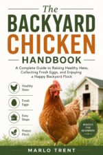 The Backyard Chicken Handbook