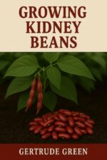 Kidney Beans Gardening: Guide to Growing Kidney Beans Guides for Home