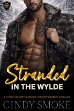 Stranded in the Wylde: a Steamy Grumpy Sunshine Forced Proximity Romance Mountain Rescue Book