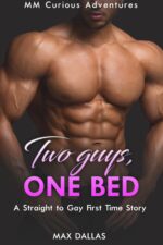 Two Guys, One Bed: a Straight to Gay First Time Story Curious