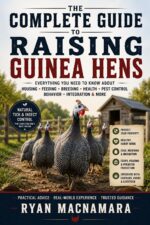 The Complete Guide to Guinea Hens: Raising, Breeding, and Understanding Nature's Watchdogs