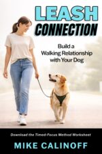 Leash Connection: Build a Walking Relationship With Your Dog