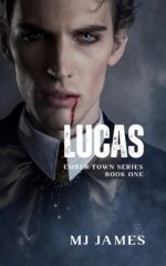 Lucas: a Queer Trans Contemporary Fantasy Ember Town Series Book