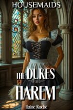 Housemaids - the Dukes Harem: Story of a Medieval Free Use Toy Castle's Spicy Secrets Book