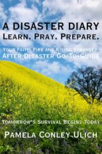 A Disaster Diary: Learn. Pray. Prepare. Your Faith, Fire and Rising Stronger After Disaster Go-to-guide
