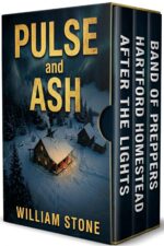 EMP Pulse and Ash