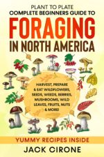 Plant to Plate - Complete Beginners Guide to Foraging in North America: Harvest, Prepare & Eat Wildflowers, Seeds, Weeds, Berries, Mushrooms, Wild Leaves, Fruits, Nuts & More!